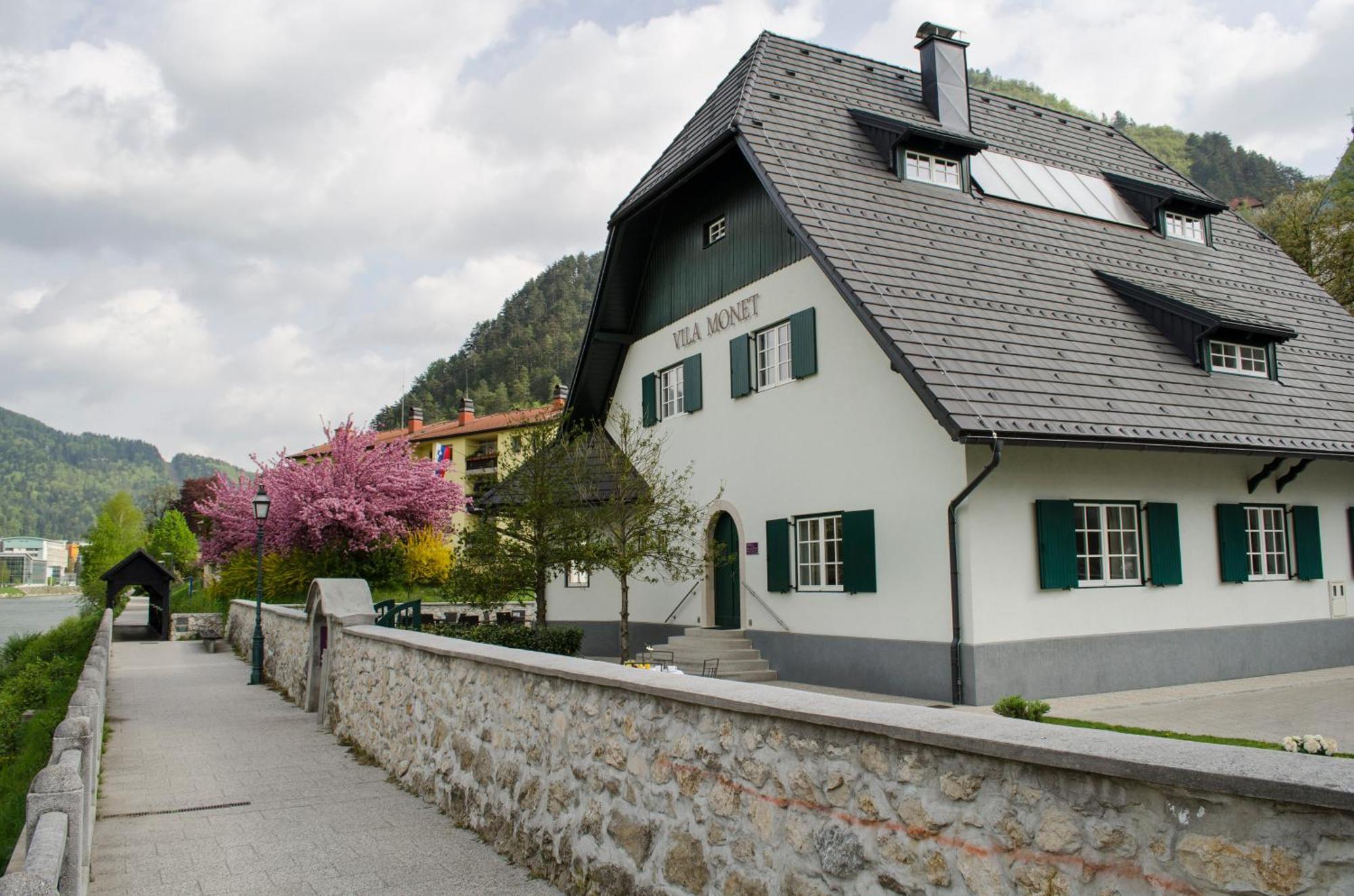 Vila Monet Laško Exterior foto